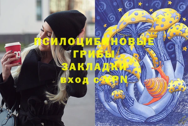 МДПВ Алзамай